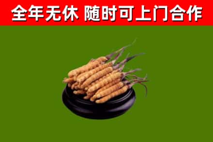 长寿区烟酒回收冬虫夏草.jpg