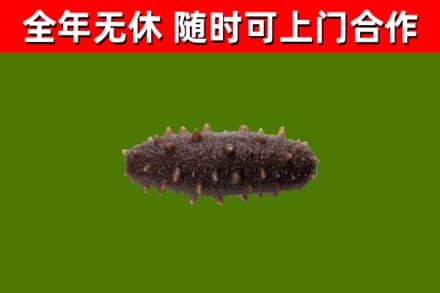 长寿区烟酒回收干海参.jpg